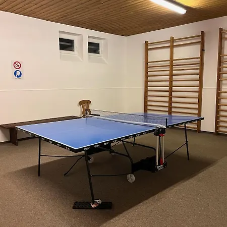 3-room With Sauna And Pool & Walk To Slopes - Jokercard Included アパート ザールバッハ・ヒンターグレム